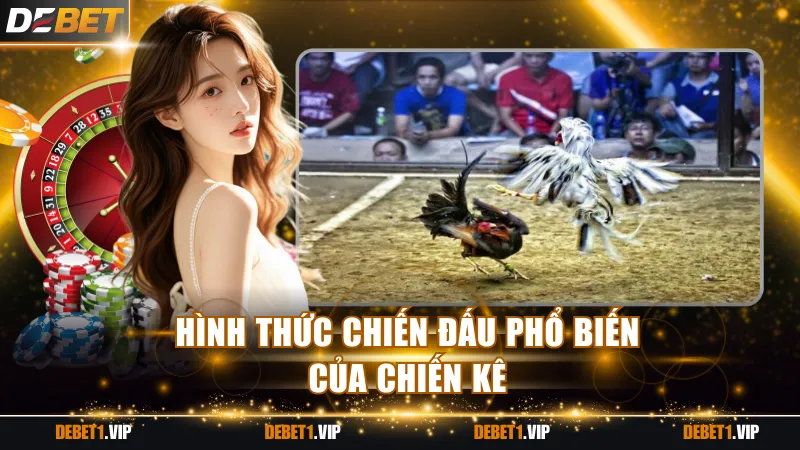 Hình thức chiến đấu phổ biến của chiến kê